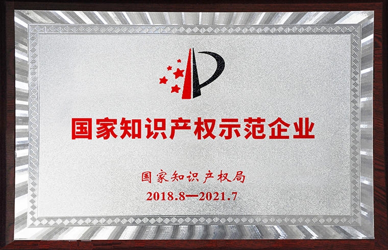 國家知識(shí)產(chǎn)權(quán)示范企業(yè)